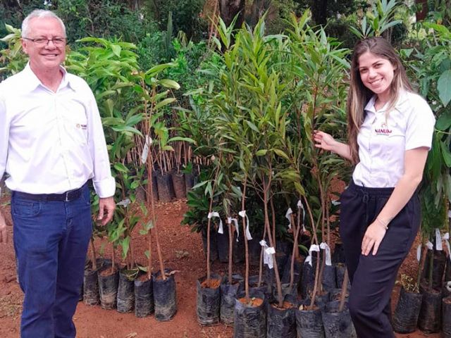 nanum-doa-plantas-para-horto-florestal-de-lagoa-santa-mg-brazil2